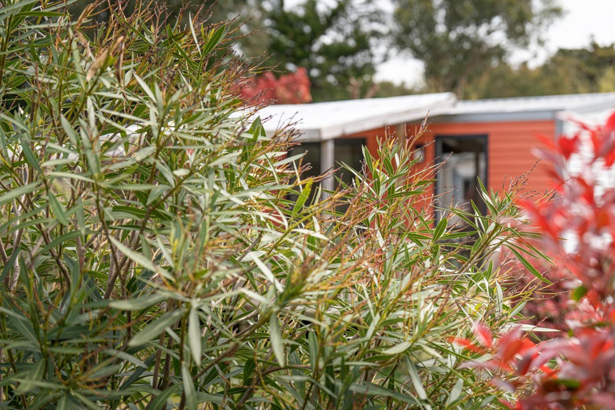 Camping Antioche D'Oleron La Brée-les-Bains Zewnętrze zdjęcie