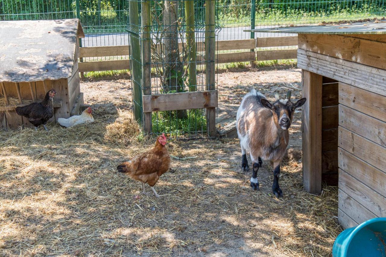 Camping Antioche D'Oleron La Brée-les-Bains Zewnętrze zdjęcie